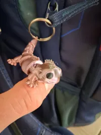 Keychain no Ams