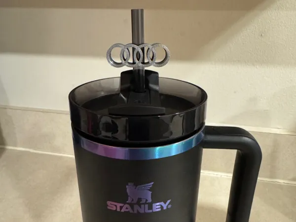 https://makerworld.bblmw.com/makerworld/model/UScb7d93cef231ff/design/2025-03-13_289ba425af573.jpg