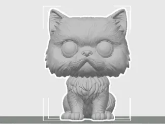 Gato persa homenagem a Menininho