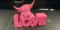 0.2mm layer, 2 walls, 10% infill