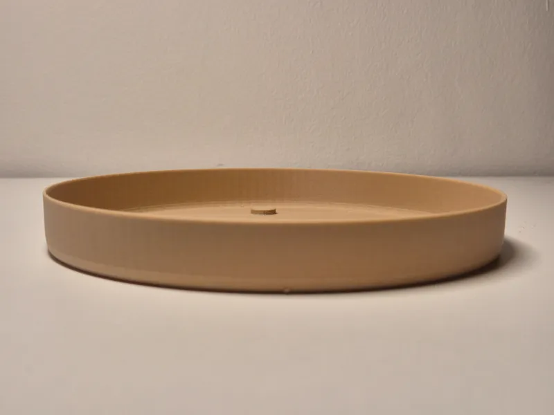 plant saucer