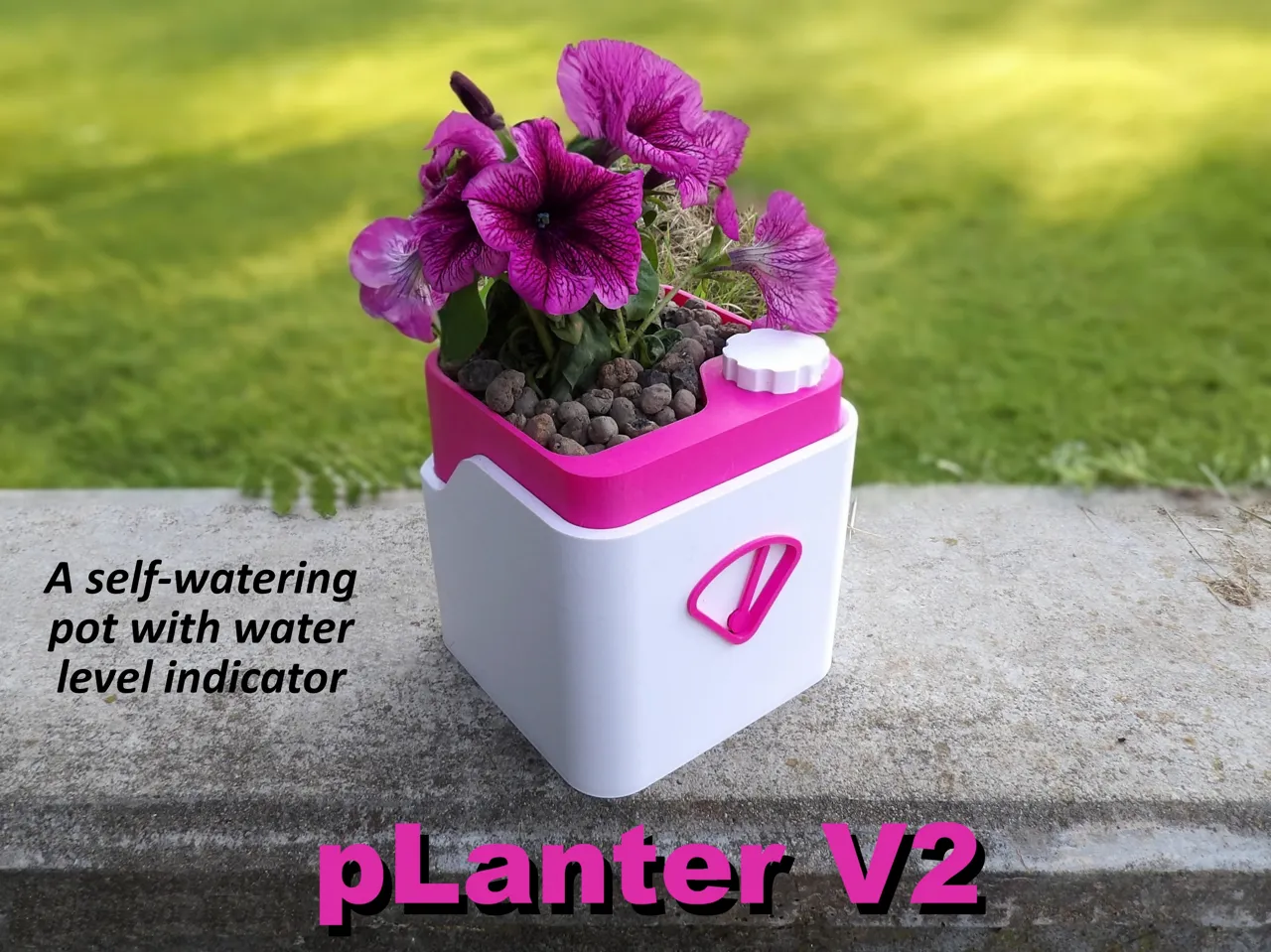 pLanter V1 - Self Watering Pot view 3