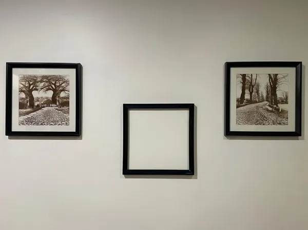 https://makerworld.bblmw.com/makerworld/model/UScb89c7f22435a9/design/2024-11-13_c037c520acb6c.jpg