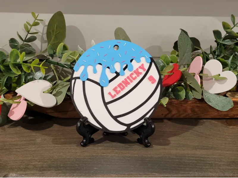Drip Volleyball Bag Tag