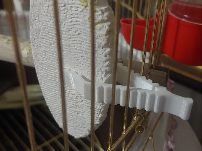 Cuttle fish/sepia bone holder