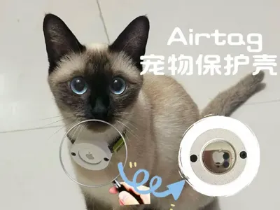 AirTag Collar (Pet Case)