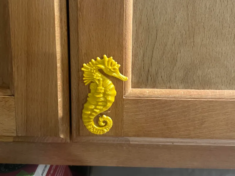 "Seahorse Serenade"