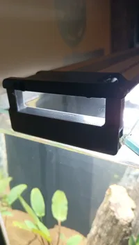0.16mm layer, 2 walls, 15% infill