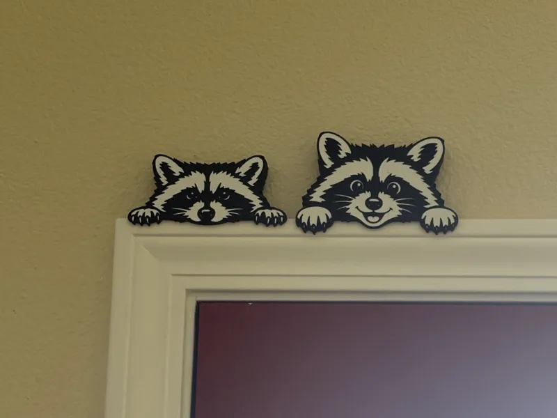 Raccoon Door Topper