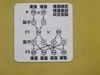 Mendel's Law of Segregation