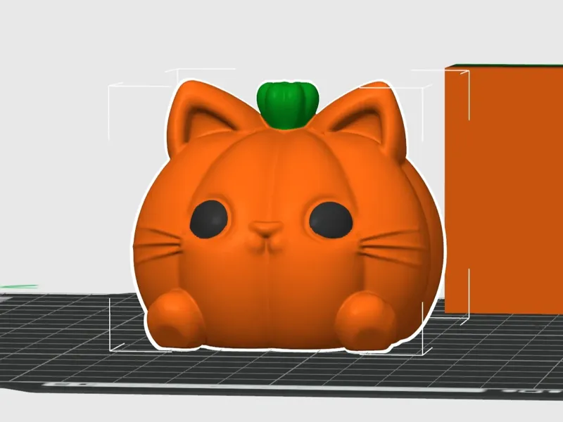 南瓜猫