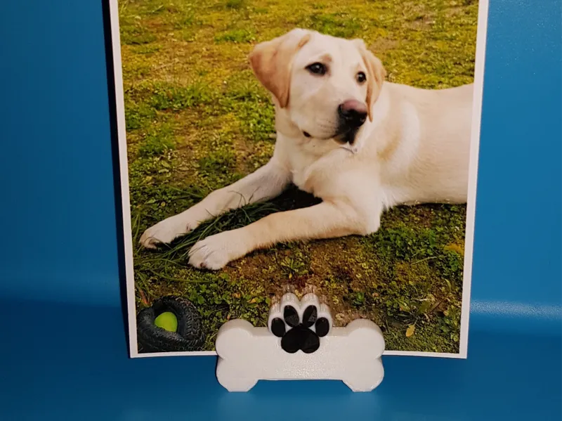 Bone Photo Holder – AMS & NoAMS Version