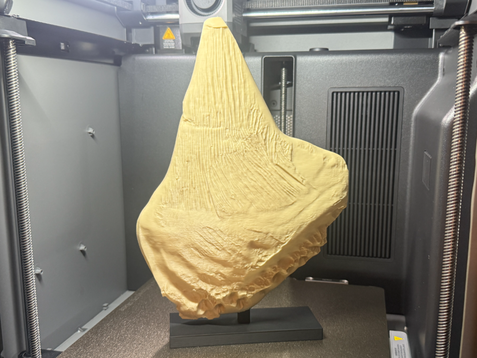 Stegosaurus Back Plate Fossil Replica