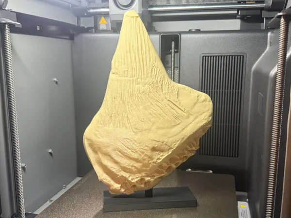 https://makerworld.bblmw.com/makerworld/model/UScba2e14e92994/design/48f88209455c8f68.jpg