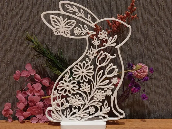 https://makerworld.bblmw.com/makerworld/model/UScba4a8abdbd6c9/design/98e573c63318fea9.jpg