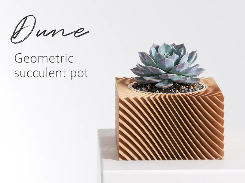 Dune - geometric succulent pot