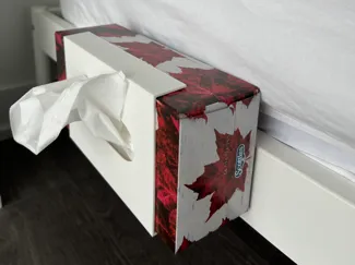 Ikea bed side kleenex mount