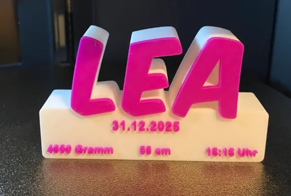 https://makerworld.bblmw.com/makerworld/model/UScbad3c6271b1cf/design/2025-01-15_e6960ec9cc94d.jpg