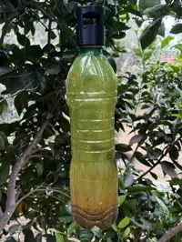 big bottles' cap PETG (neck diameter of 36 mm)