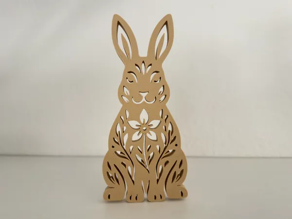 https://makerworld.bblmw.com/makerworld/model/UScbb61e035c3bd9/design/2026-01-08_091ff0edb858.jpg
