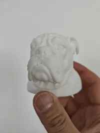 0.12mm layer, 2 walls, 12% infill