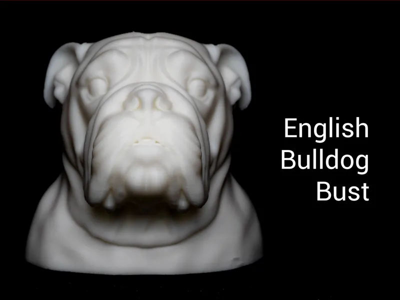 English Bulldog Bust