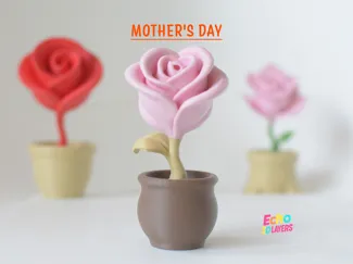 Tender Rose
