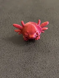 Axolotl mignon stylisé — photo 5
