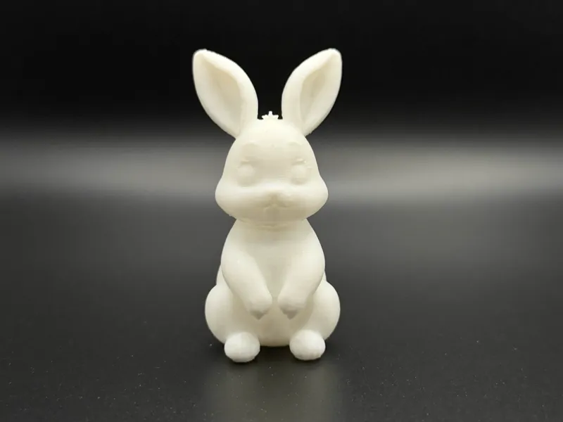 Adorable Bunny Rabbit