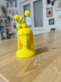 0.8mm nozzle, 0.2mm layer, 2 walls, 7% infill