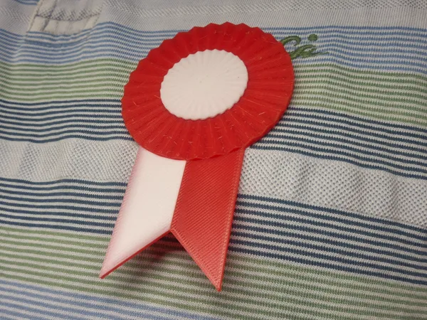 https://makerworld.bblmw.com/makerworld/model/UScbc92588aec84c/design/2025-08-31_7ae3c0b37116b.jpg