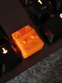 0.08mm layer, 2 walls, 15% infill