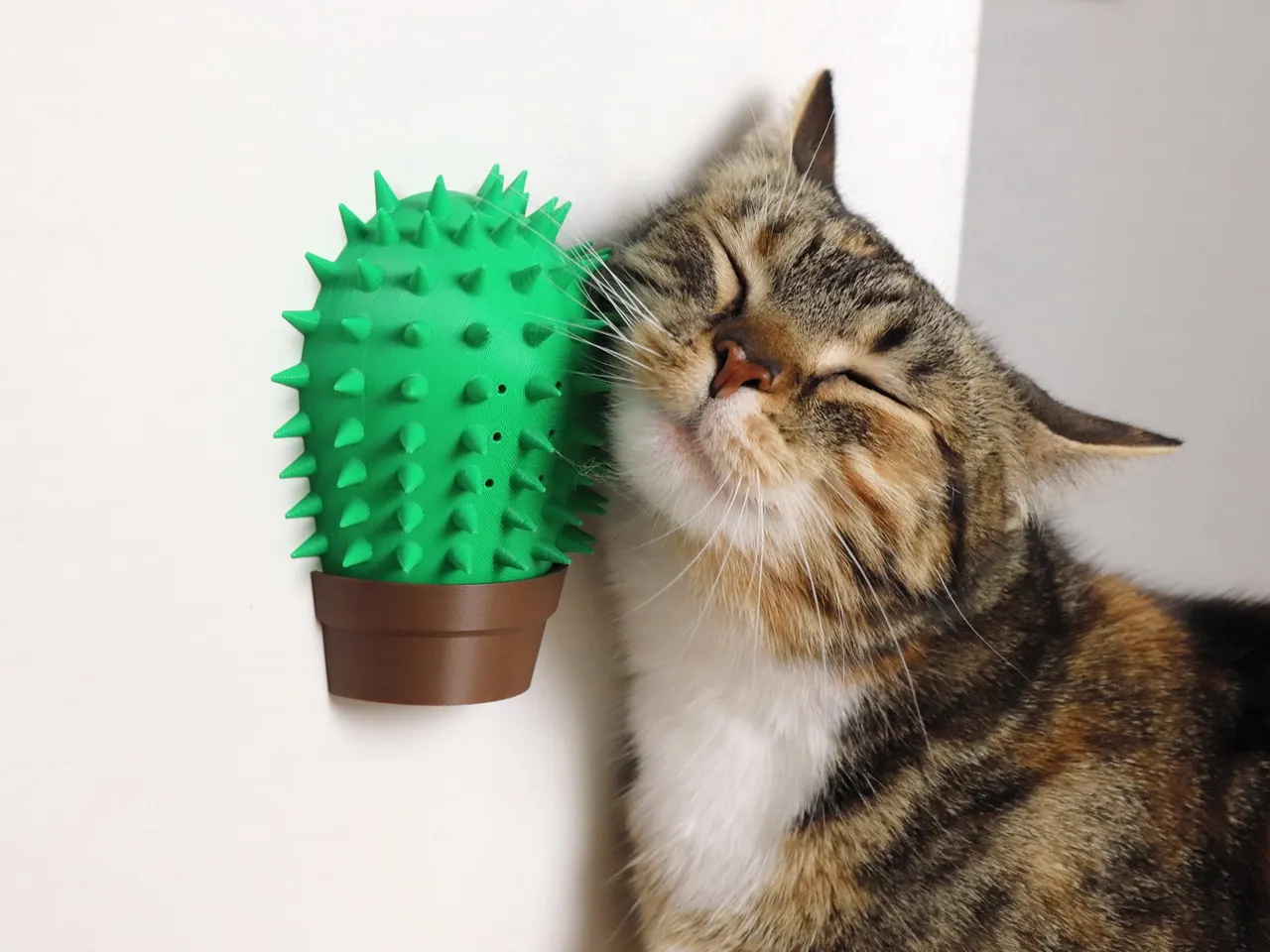 Cactus Cat Self Scratcher view 2