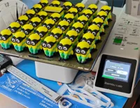 Mini Minions multicolores — photo 5