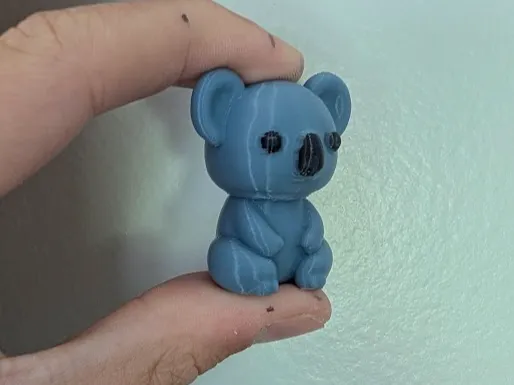 Cute Koala