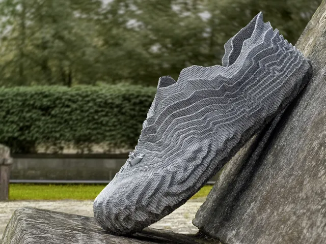 Waveform Shoe