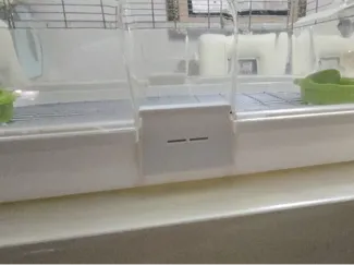 Vision Bird Cage Latch
