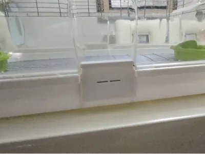 Vision Bird Cage Latch