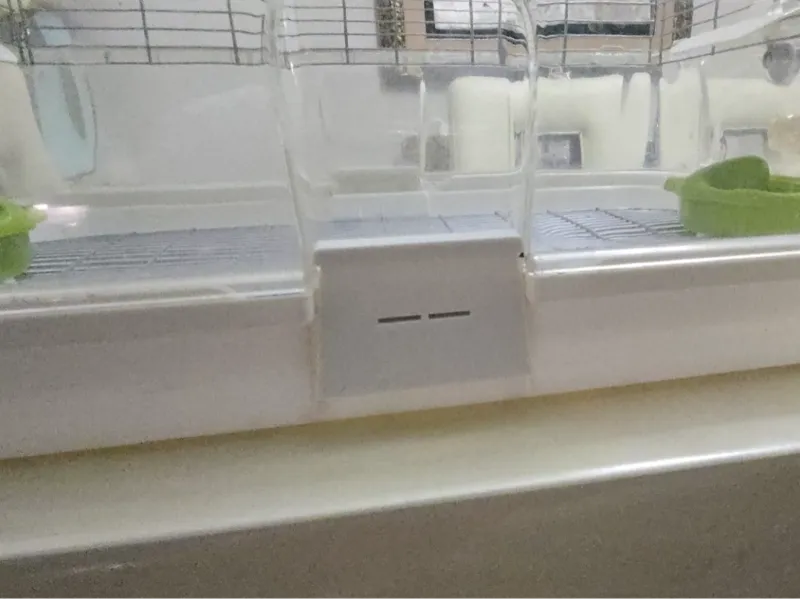 Vision Bird Cage Latch