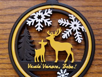 Christmas ornament gift