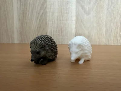 Hedgehog