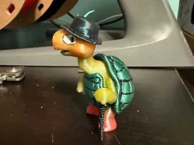 Turtle Steve