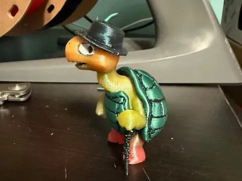 Turtle Steve