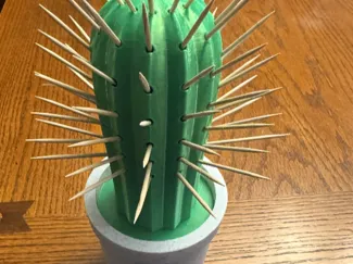 Cactus Toothpick Holder With Pot