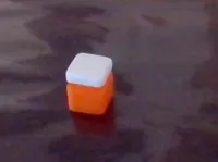 V1