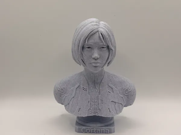 https://makerworld.bblmw.com/makerworld/model/UScbf279babeacf6/design/b41d49b42ee9ea58.jpeg
