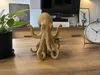 20 cm model