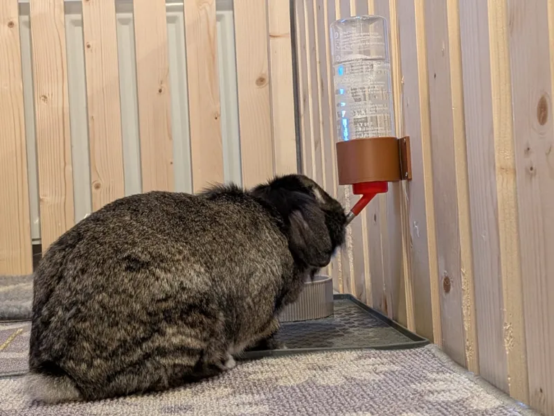 Rabbit Bottle Holder (Crystal De-Lux Large Bottle)