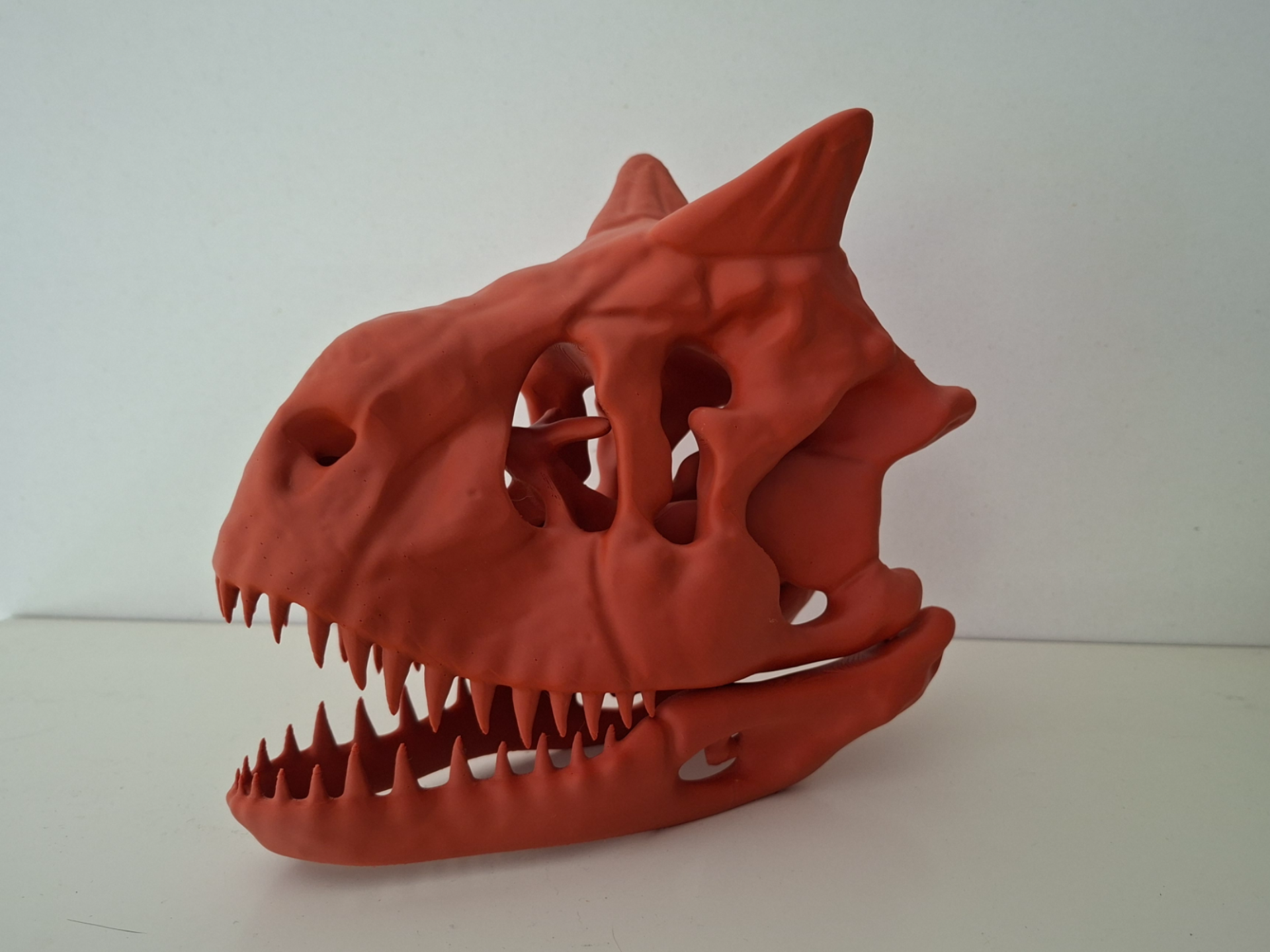 carnotaurus skull