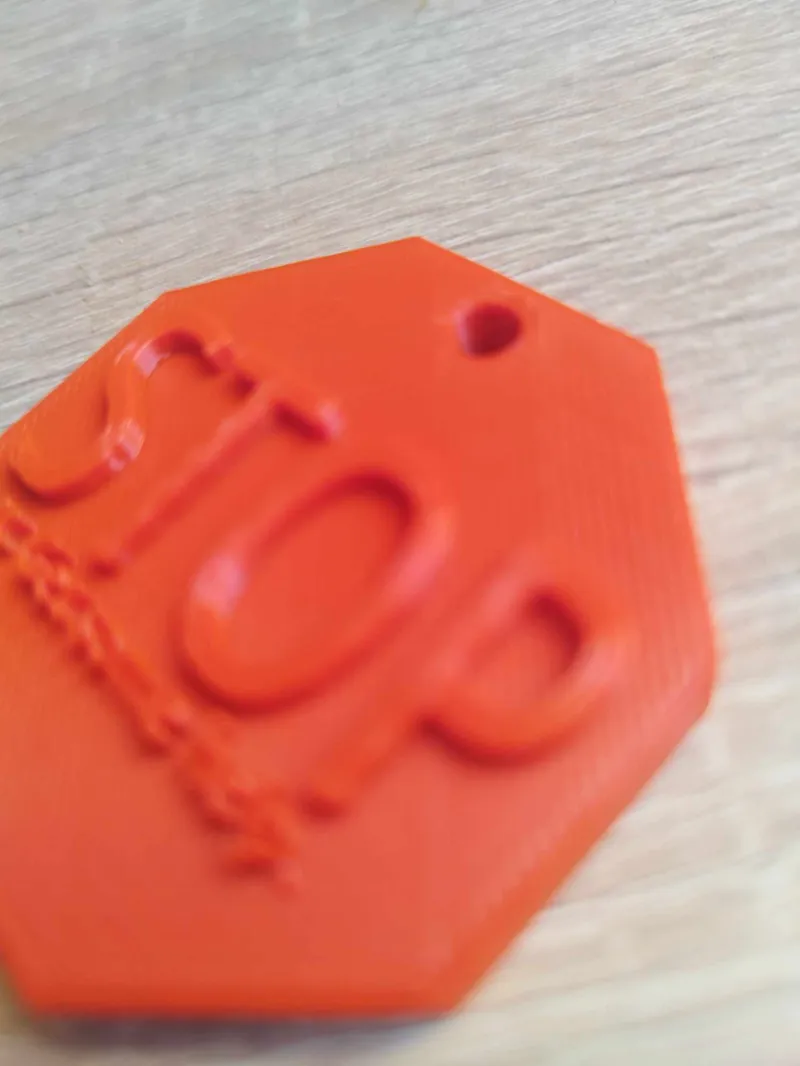 Stop It Keychain